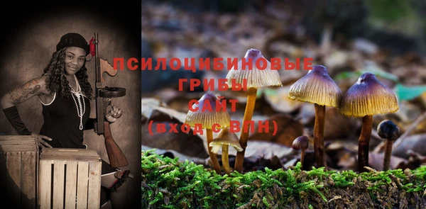 спайс Медвежьегорск