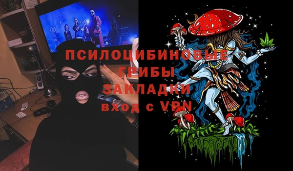 спайс Медвежьегорск