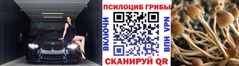 где продают наркотики  Чернушка  Галлюциногенные грибы Magic Shrooms 