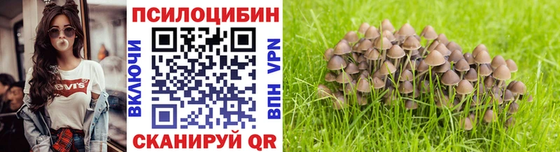 Галлюциногенные грибы мухоморы Чернушка