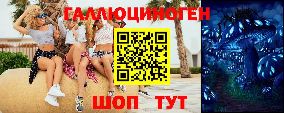 купить наркотики цена  Чернушка  Галлюциногенные грибы MAGIC MUSHROOMS 