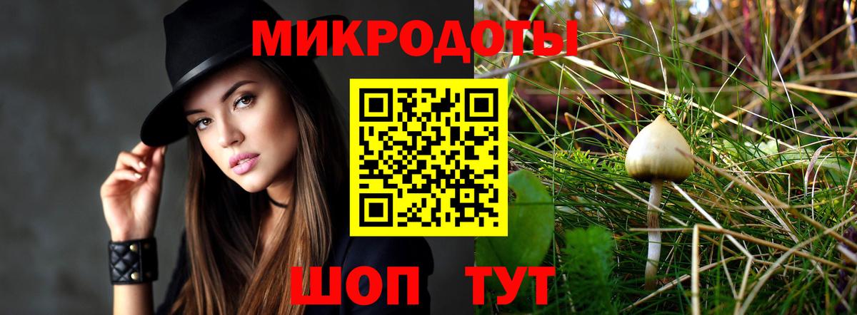 Псилоцибиновые грибы Magic Shrooms Чернушка