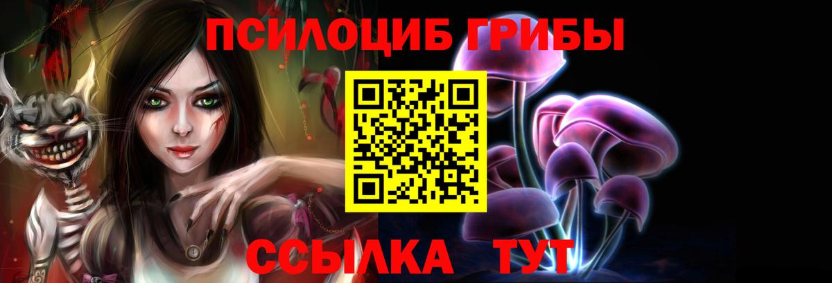 Чернушка  Галлюциногенные грибы мухоморы  сколько стоит  Вход с VPN 