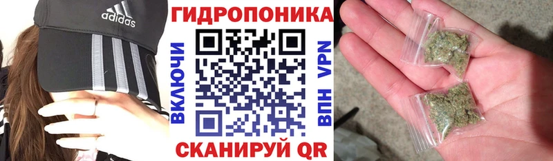 МЕГА tor  Чернушка  Конопля Ganja  как найти  